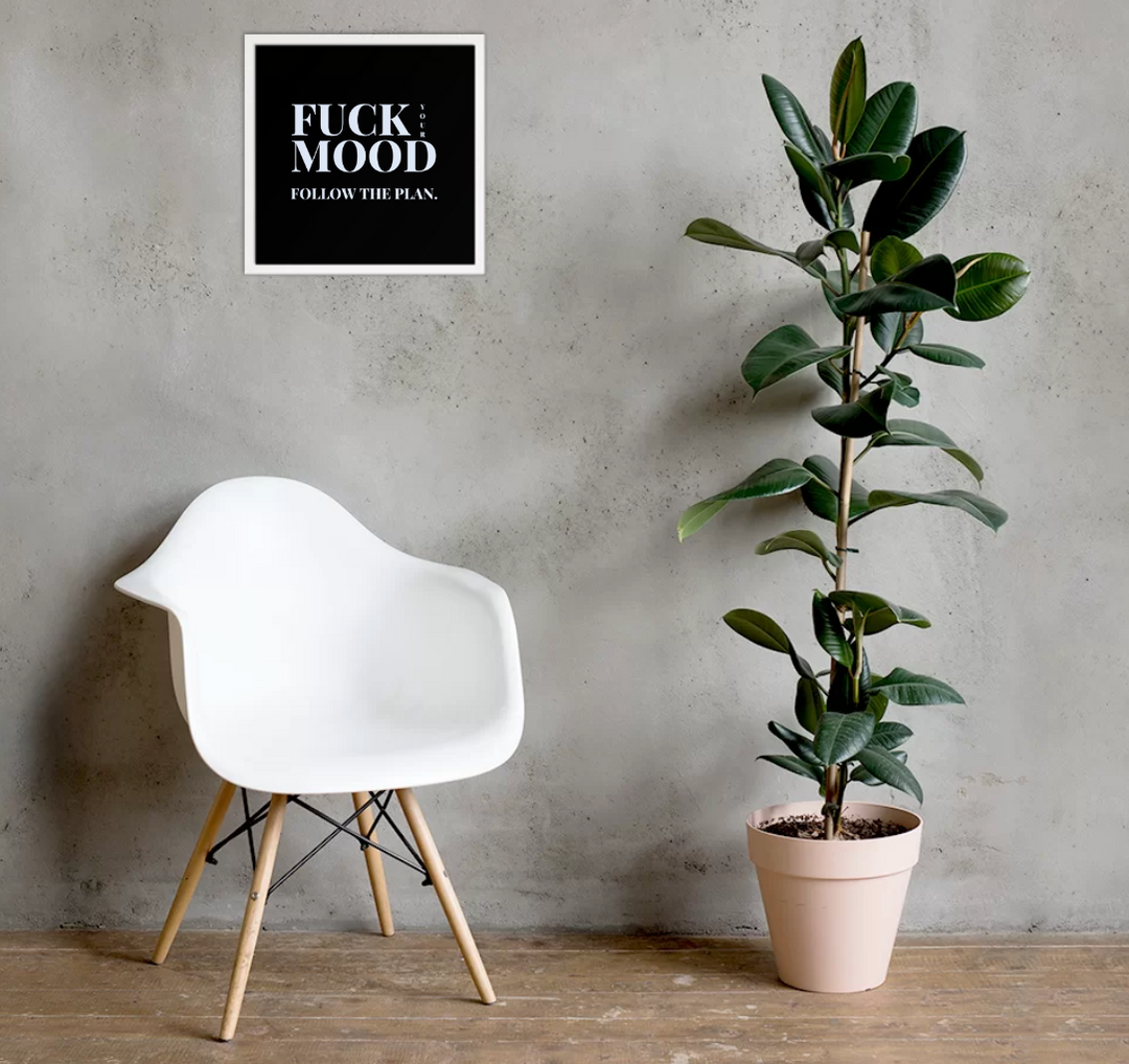 Bold Motivational Poster – 'Fuck Your Mood, Follow the Plan' Framed Wall Art (16″×16″)