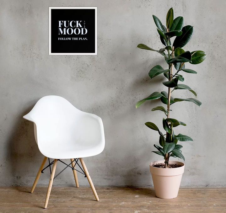 Bold Motivational Poster – 'Fuck Your Mood, Follow the Plan' Framed Wall Art (16″×16″)